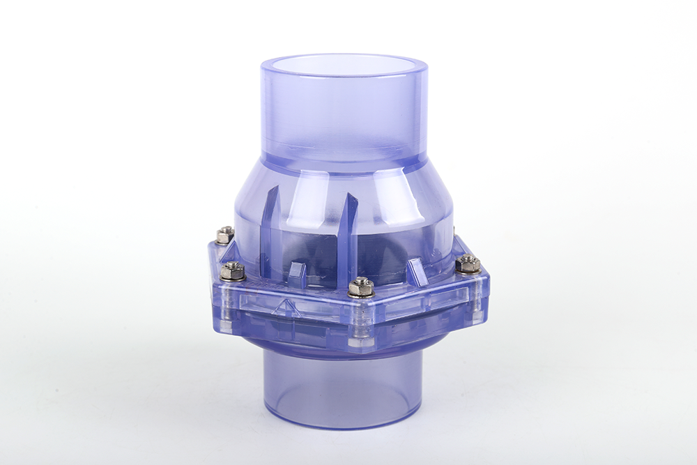 徽县透明翻板式止回阀